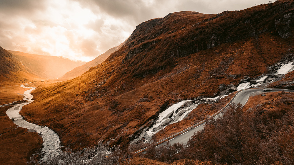 Sitamet Risus Nullam Egetcras Ornare Vivamus Felisbibendum Redcharlie 1372584 Unsplash